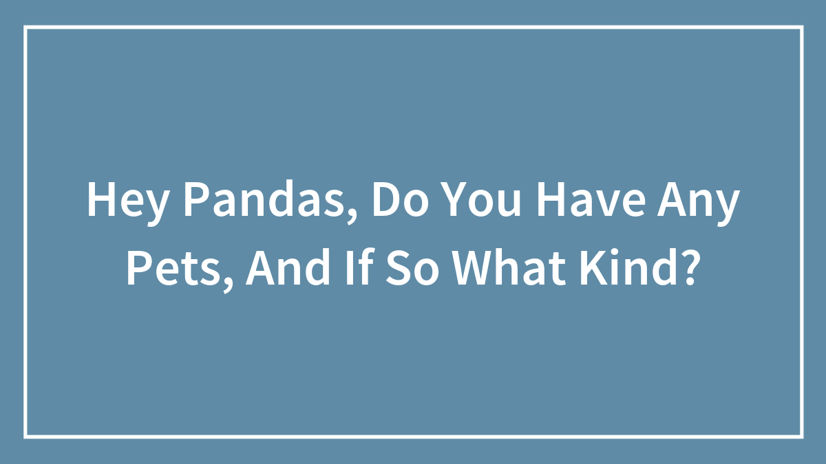 Hey Pandas, Do You Have Any Pets, And If So What Kind? (Closed)