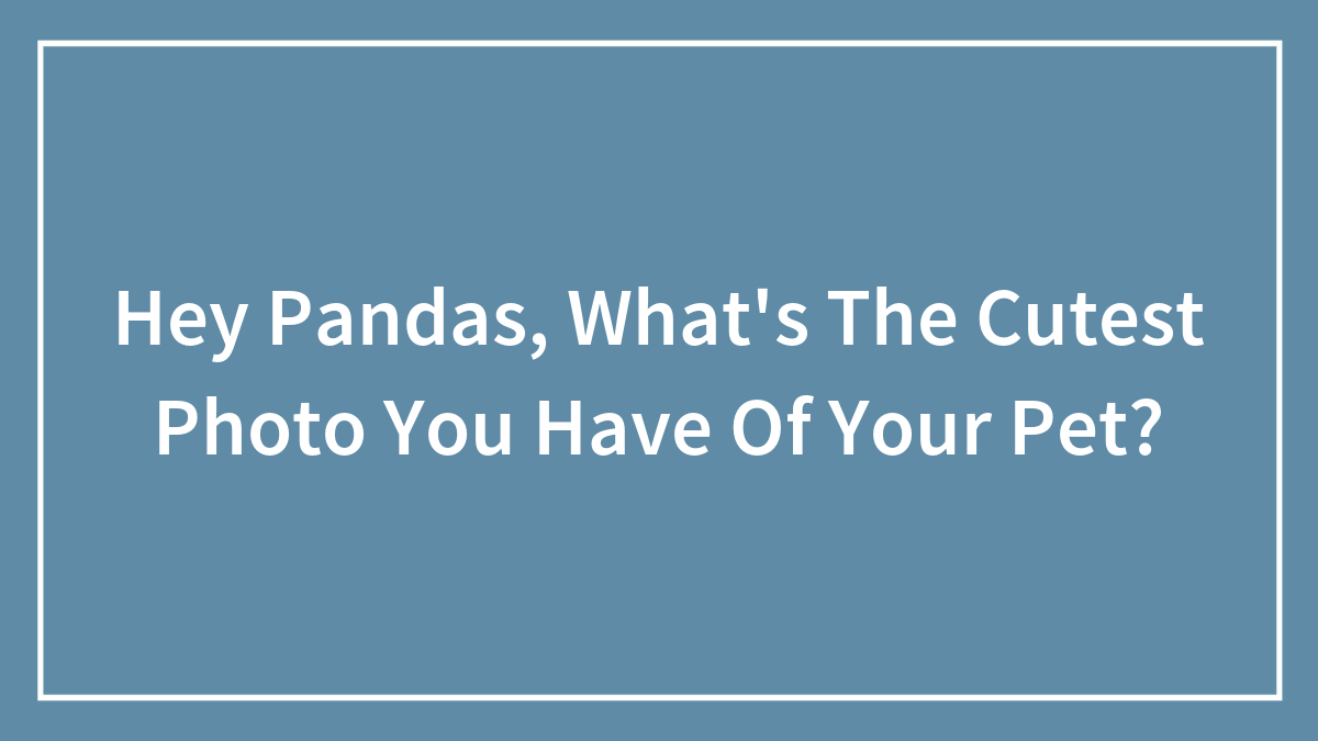 Hey Pandas, What’s The Cutest Photo You Have Of Your Pet?