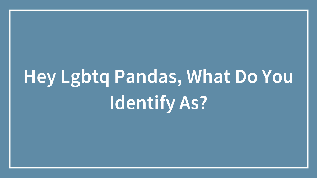 Hey Lgbtq Pandas, What Do You Identify As?