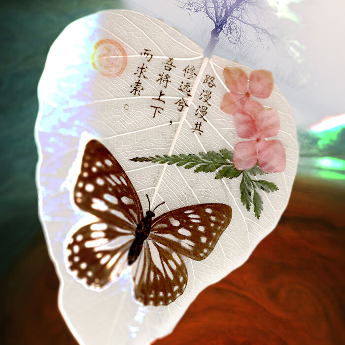 “Well, Why Not A Space Flower? Why Do We Always Expect Metal Ships?”: A Collection Of Photo Collages From The Wildflowers’ Movement Support Group