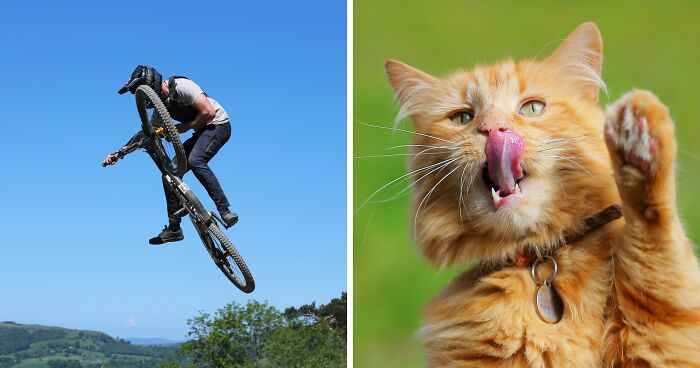 After Being Made Redundant, I Turned My Hobby Of Photography Into A Full-Time Job, And Here Are My Best Shots (38 Pics)