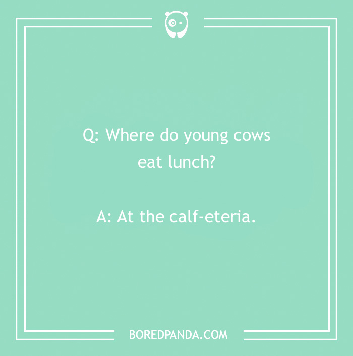 123 Udderly A-moo-sing Cow Jokes