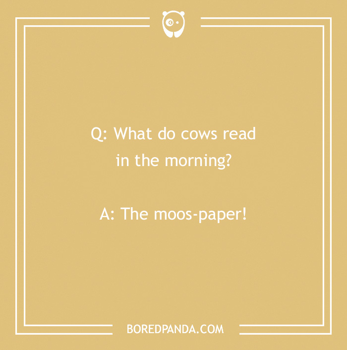 123 Udderly A-moo-sing Cow Jokes