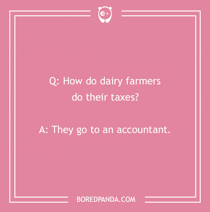 123 Udderly A-moo-sing Cow Jokes