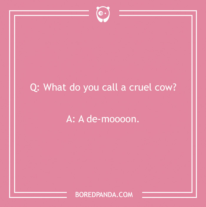 123 Udderly A-moo-sing Cow Jokes