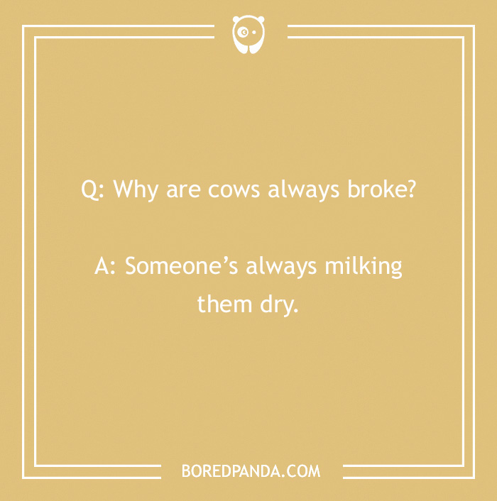 123 Udderly A-moo-sing Cow Jokes