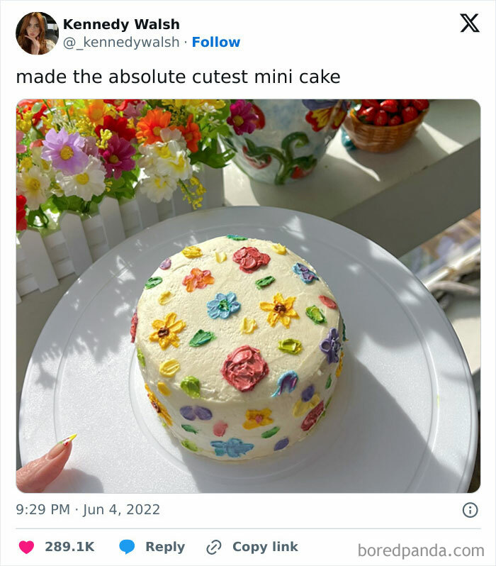 What A Lovely Cake