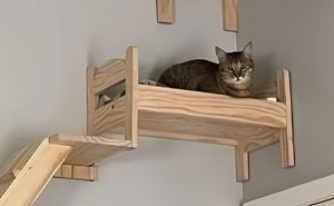 Woman Refuses To Let Homeless Parents Occupy Her Pet Room, Wonders If She's Being Cruel