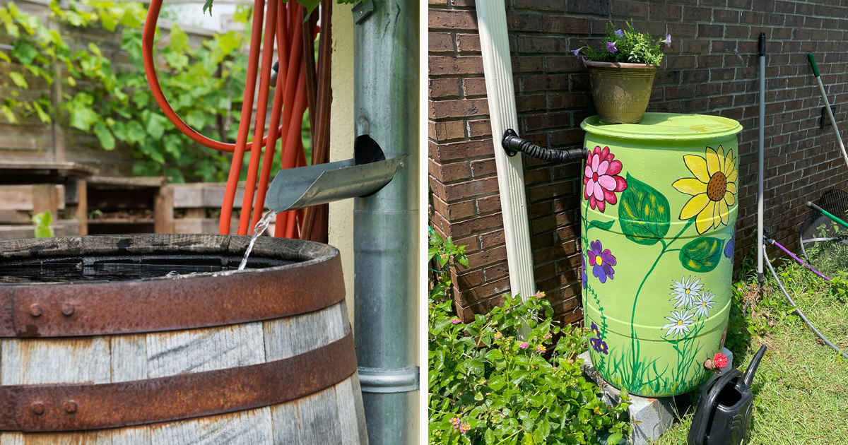 How To Make A DIY Rain Barrel In 8 Simple Steps Bored Panda