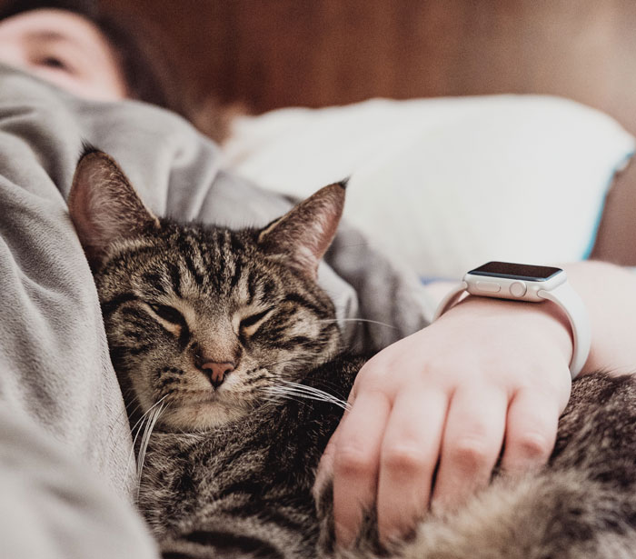 A cat lying on a bed next to a person's arm, showcasing its special gift of sensing illness. A cat lying on a bed next to a person's arm, showcasing its special gift of sensing illness.