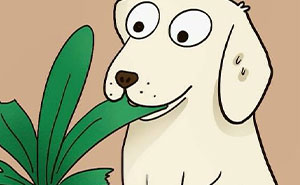 This Artist Makes Wholesome Comics That Show The Unique Dynamic Between Humans And Their Pets (30 Pics)