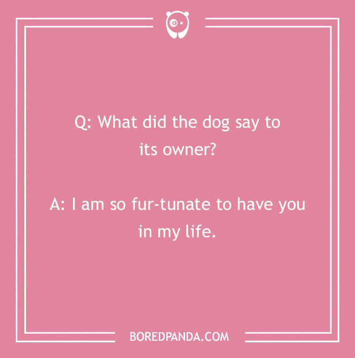 128 Dog Jokes That Might Make You Howl With Laughter Bored Panda