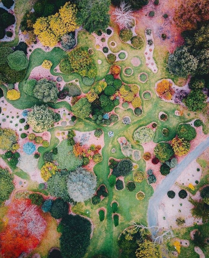 The Botanical Gardens In Mount Lofty, Australia Shot From Above By @tuberosamx