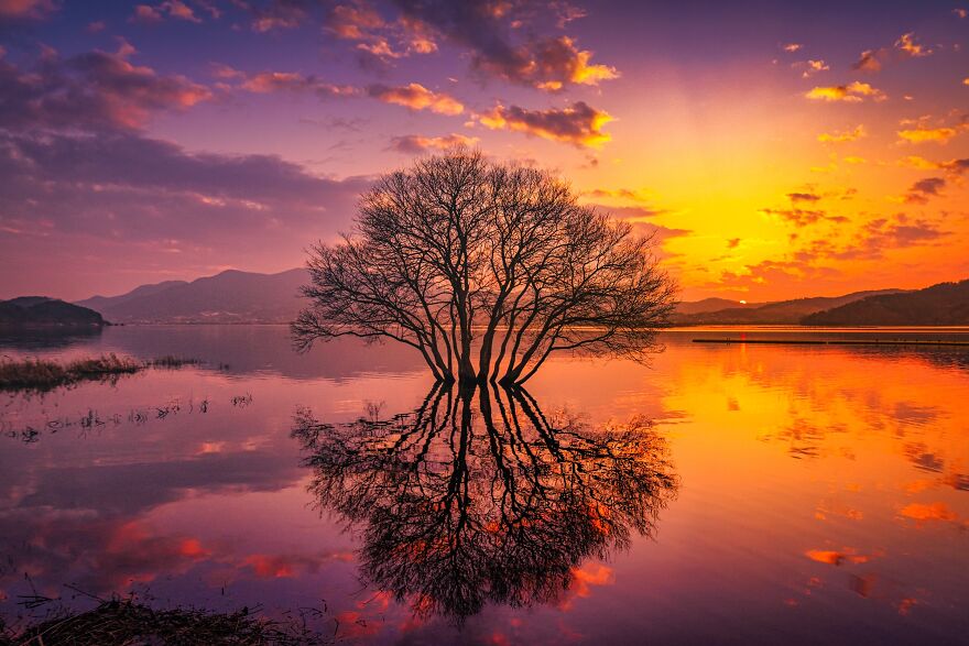 Bronze In Nature: "Beautiful Golden Sunset On The Lake" By Yongseok Chun, Korea