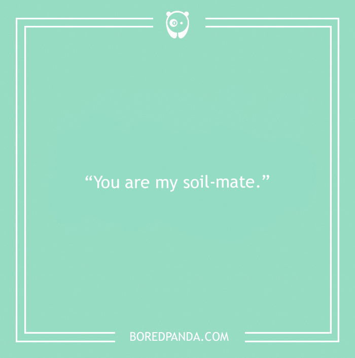 169 Delicious Food Puns That Will Tickle Your Fun Buds