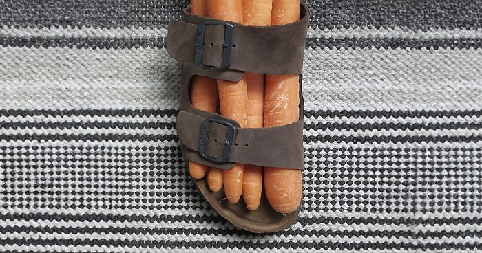 I Blend Two Unrelated Objects Into One Visually Recognizable Piece (35 ...