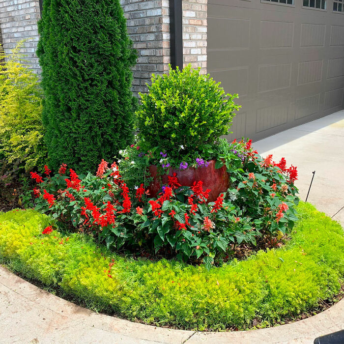 Picture of flower bed edging using other plants