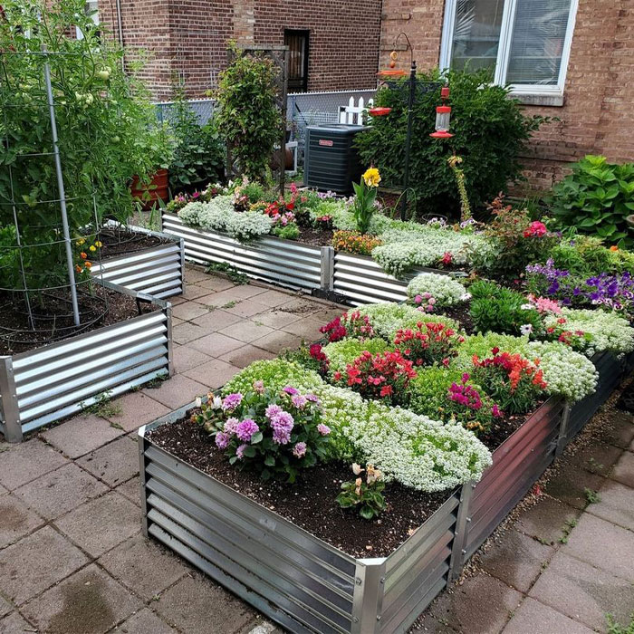 Picture of metal flower bed edging with colorful flowers