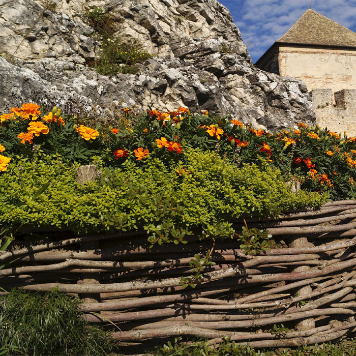 Picture of woven willow flower bed edging with orange flowers