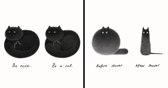 70 New Illustrations By Kamwei Fong Featuring Fluffy And Grumpy Cats