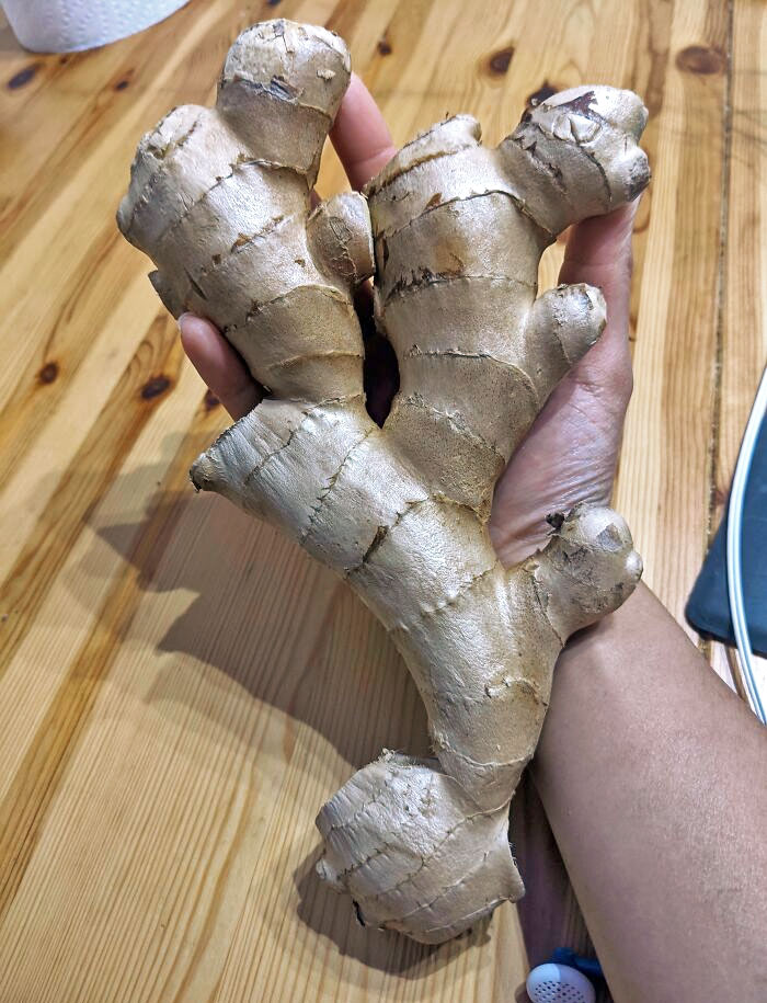 I Asked My Husband To Get Me Some Ginger. This Is Some Ginger