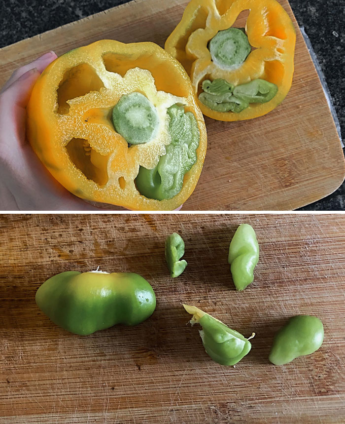My Yellow Pepper Came With A Green Pepper Inside