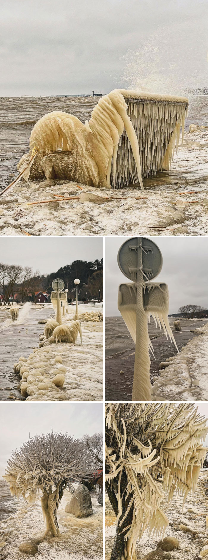 Freezing Temperatures And Strong Winds Have Created Breathtaking Formations Of Ice In Lithuania’s Resort Town Nida