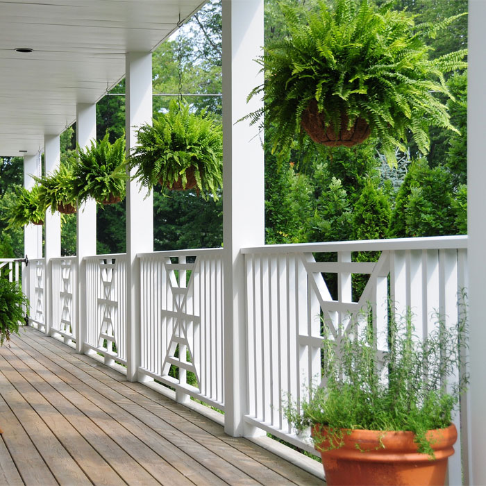 White wooden slats and hanging plants