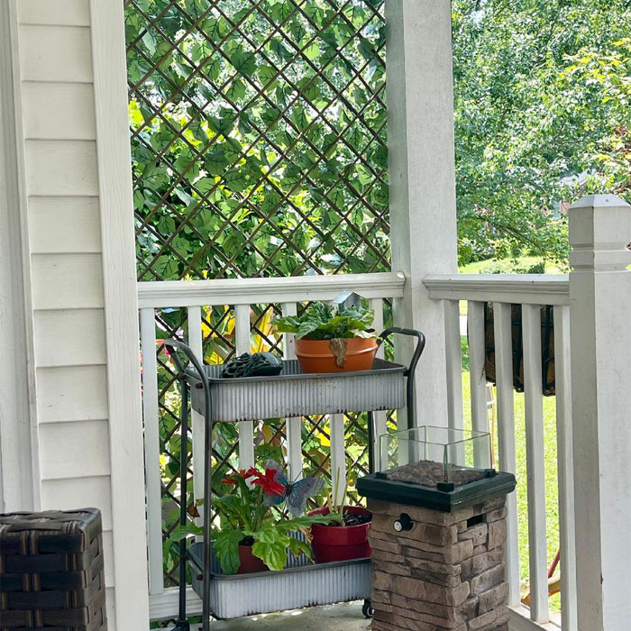 Porch with trellis and plants
