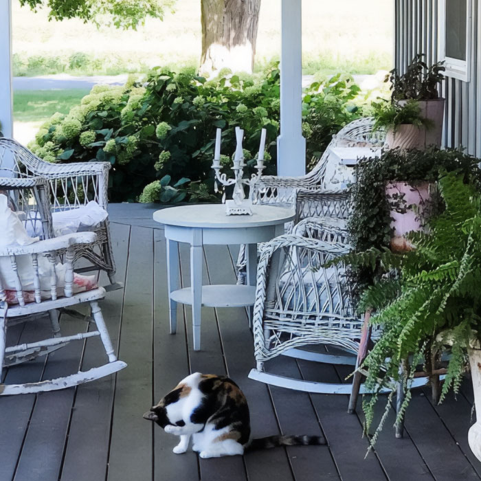 Porch with furniture and cat near