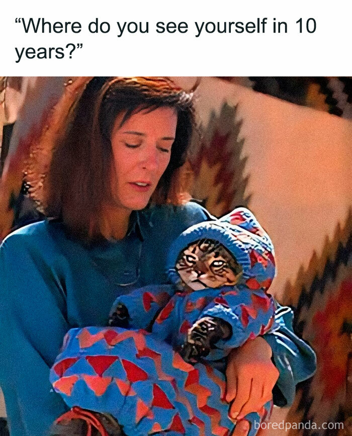 Funny-Animal-Memes-Posts