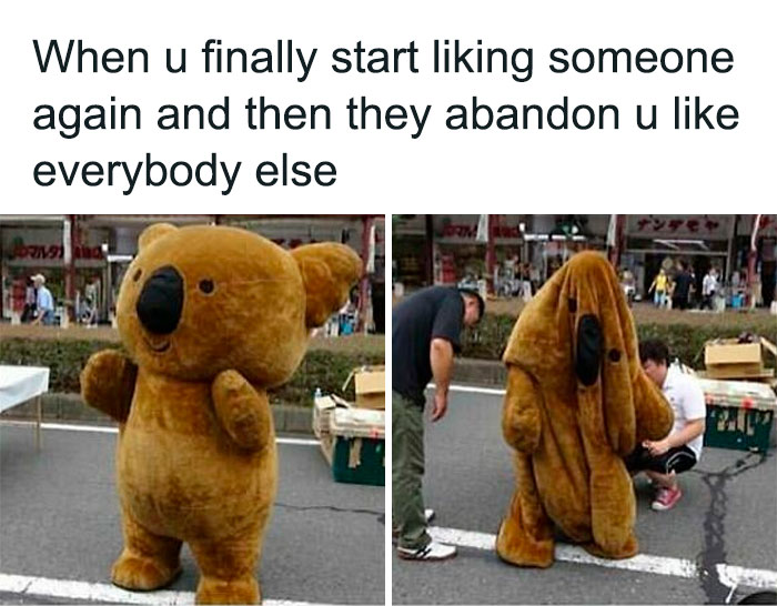 Funny-Animal-Memes-Posts