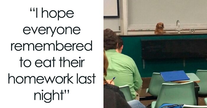 50 Animal Pics That Fit Perfectly Into Memes