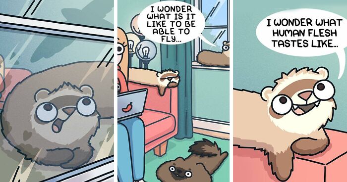 Ferret Using Computer Artist Documents What Living With Two Ferrets And A Cat Is Like (30 New ...