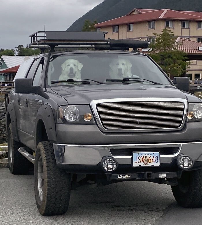 These Two Were Spotted In Sitka, Alaska