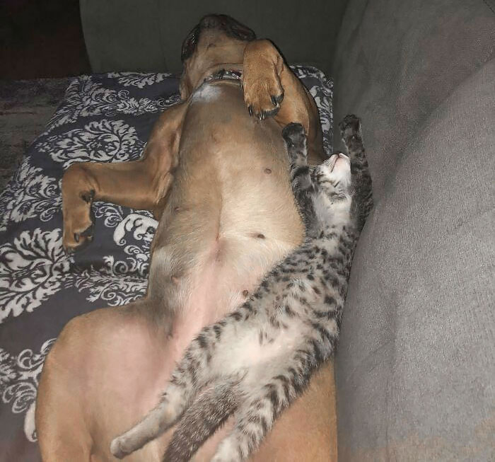 They Slept Together Like This All Night Long