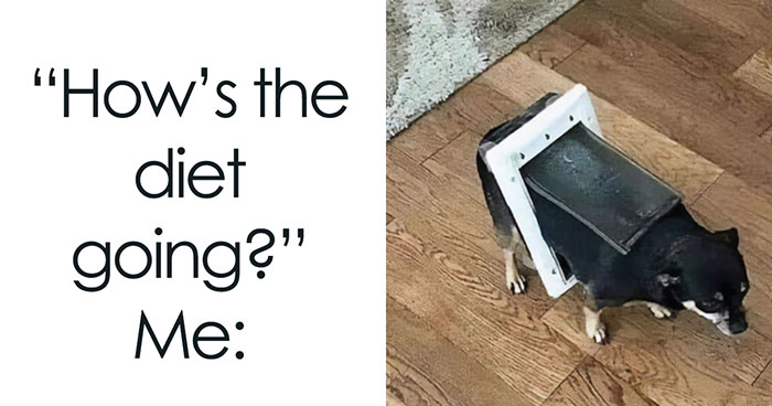35 Funny And Relatable Memes To Help You Get Through One More Day Without A Nap