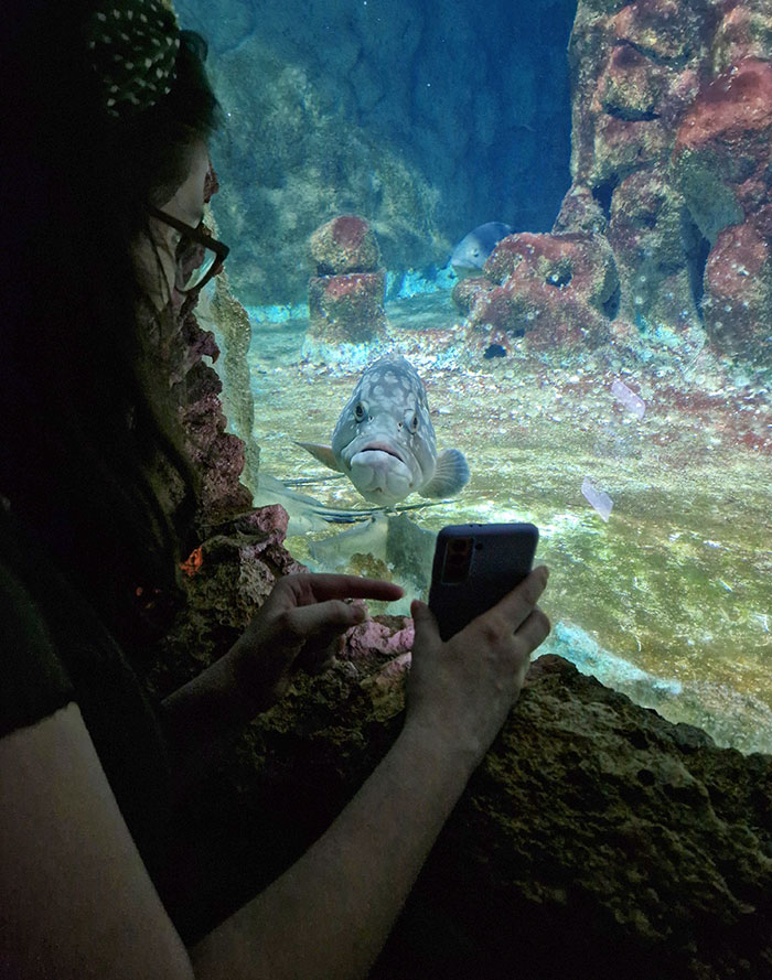 My Wife Showing A Grouper Fish His Own Picture