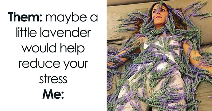40 Funny WFH Memes To Help You Get Through The Work Day