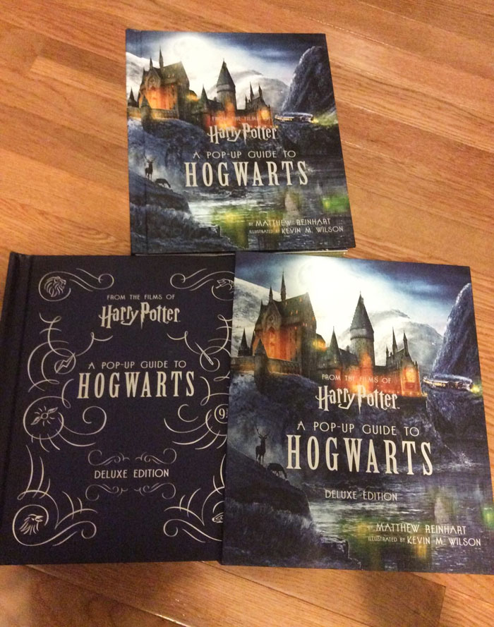 Forget Apparating, The 'Harry Potter: A Pop-Up Guide To Hogwarts' Is Your Ticket To The Most Magical Place On Earth! Hogwarts, The Forbidden Forest, And Quidditch Pitch All In 3D