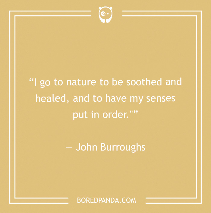 172 Health Quotes To Inspire You To Become The Healthiest Version Of You