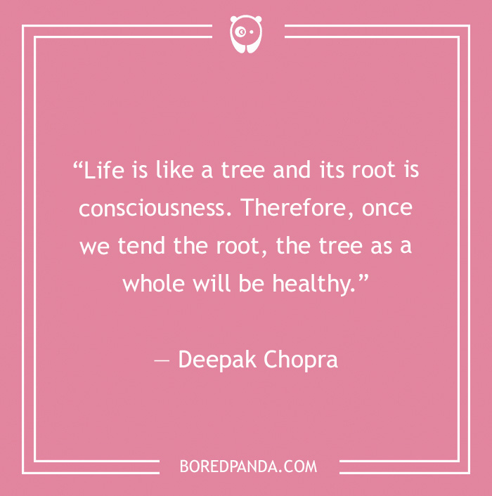 172 Health Quotes To Inspire You To Become The Healthiest Version Of You