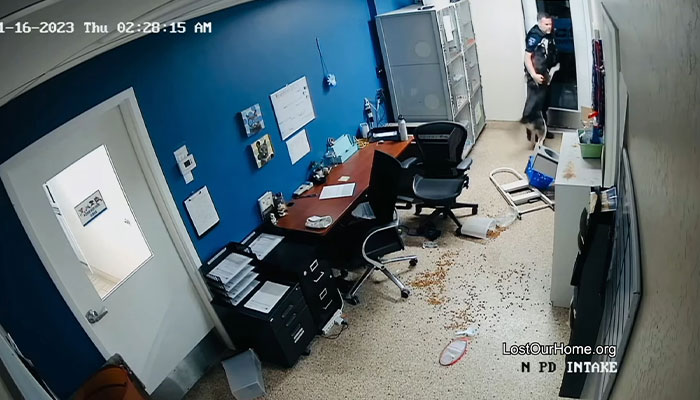 Police Makes “The Cutest Arrest Ever” After Dog Escapes Shelter And Tries To Free His Friends Police Makes “The Cutest Arrest Ever” After Dog Escapes Shelter And Tries To Free His Friends