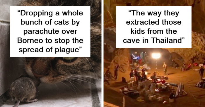 35 Ideas That Were Ridiculed On Paper But Ended Up Being Successful In Real Life