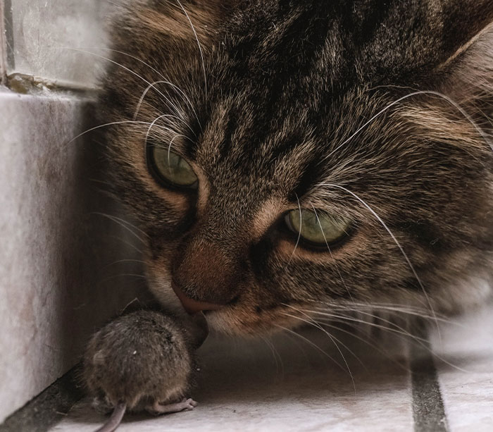 35 Ideas That Were Ridiculed On Paper But Ended Up Being Successful In Real Life