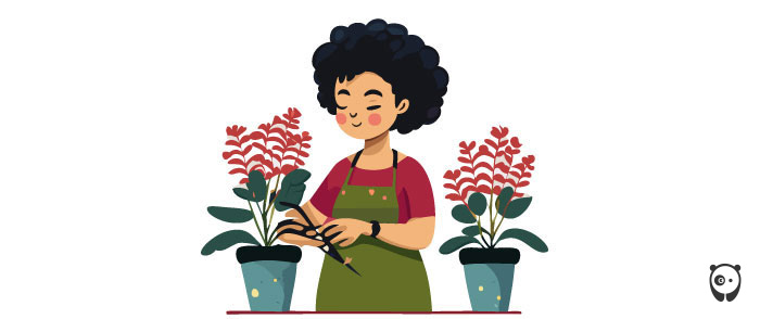 Illustration of a woman pruning a kalanchoe