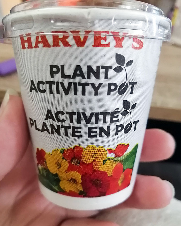 Harvey's (Canada) Gives Grow Your Own Plants Instead Of A Toy In Their Kids Meals