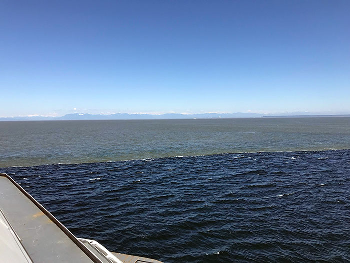 Two Different Currents Meeting Off The Coast Of Vancouver, British Columbia