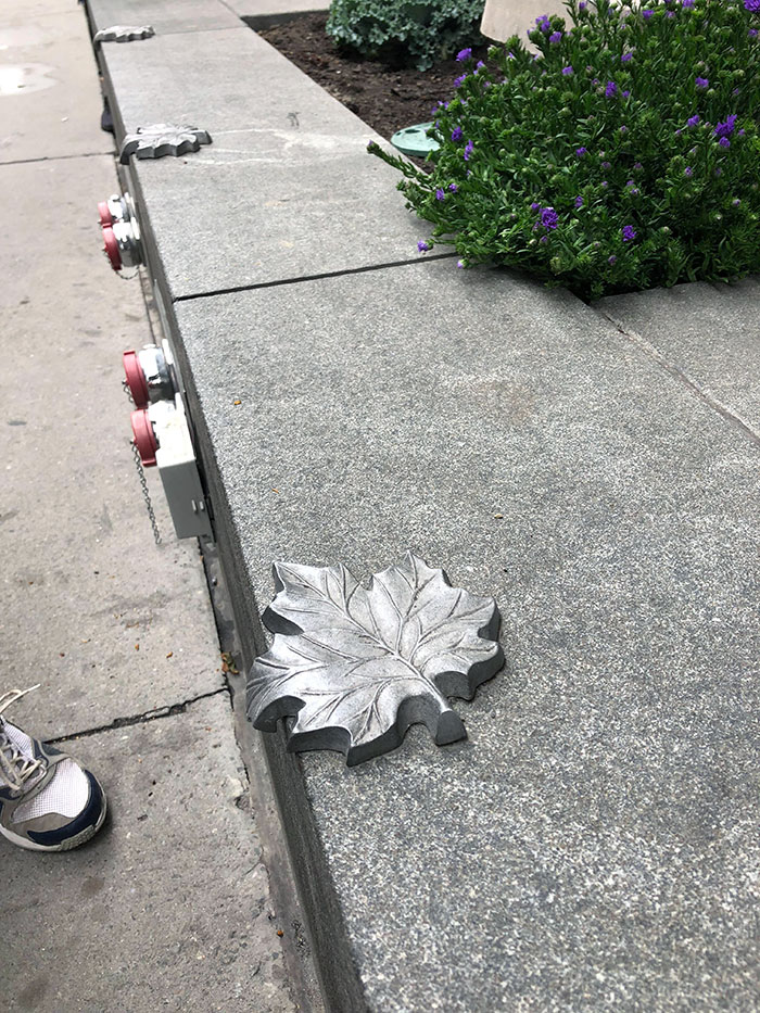 This Skate Stoppers In Canada