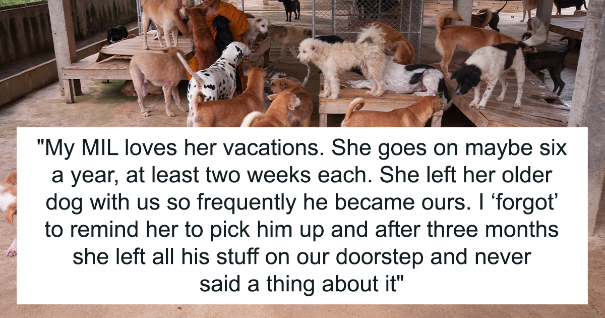 Woman Gives Her MIL's "Satan Reincarnated" Dog To A Shelter As MIL Drops Him Off At Her Doorstep - Vimarsana News